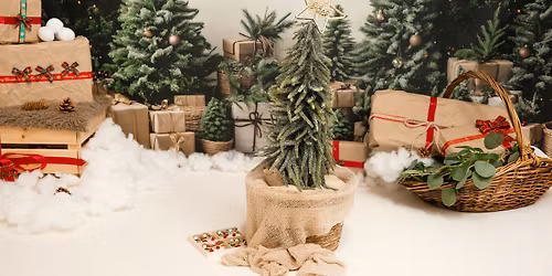 Gift-Wrapped Mini Session Photoshoot!