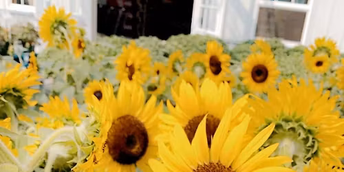 Alyssa and Noah\u2019s Jack & Jill 