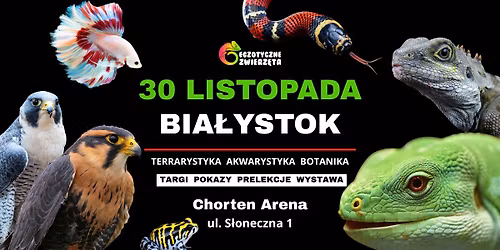 BIA\u0141YSTOK 30 LISTOPADA Egzotyczne Zwierz\u0119ta TERRARYSTYKA AKWARYSTYKA BOTANIKA i wiele wi\u0119cej