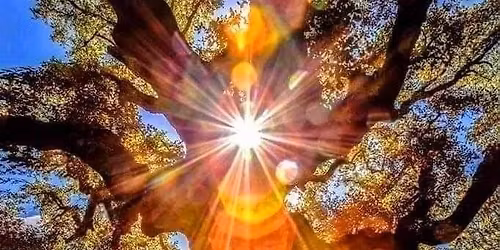 Cycle de psycho-g\u00e9n\u00e9alogie 