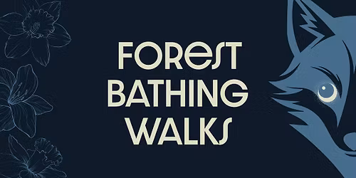 Forest Bathing Walks
