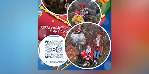 Jul i Safirtr\u00e4dg\u00e5rden