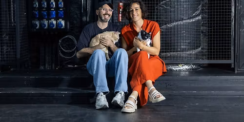 Falsas Hist\u00f3rias Verdadeiras: Uma Pina Colagem