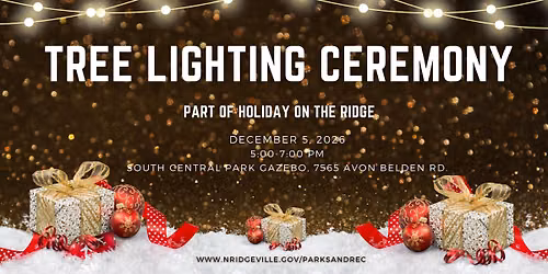 Annual Christmas Tree Lighting