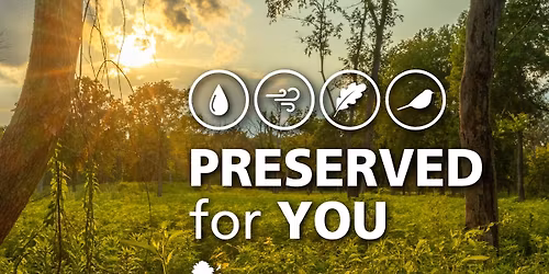 Art Exhibit: Preserved For You