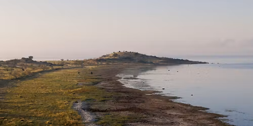 Public Program: Bus trip to Weereewa's edge with Brenda L Croft