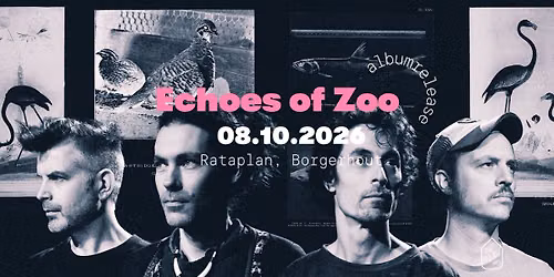 Echoes of Zoo \u2013 albumrelease Collective Intelligence