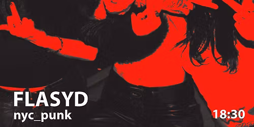 Flasyd \/ nyc \/ punk