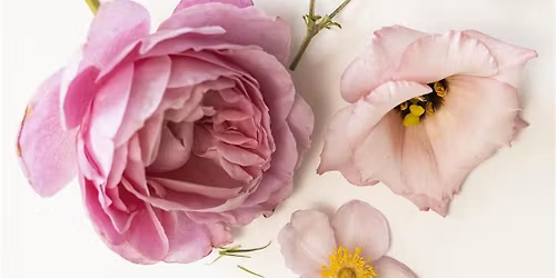 "A day in Bloom" BINGO