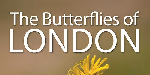 Kilburn Coffee Morning: The Butterflies of London