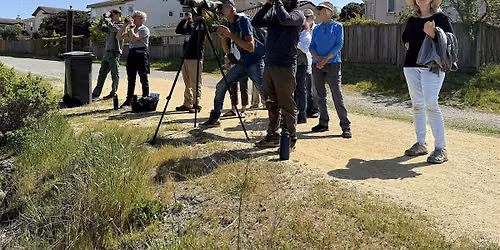 Novato Baylands Bird Walk - June 2026