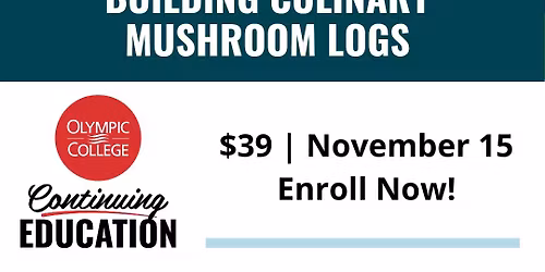 Building Culinary Mushroom Logs