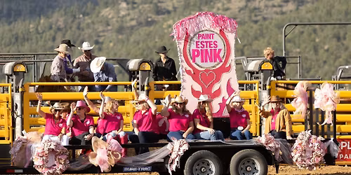Rooftop Rodeo Paint Estes Pink