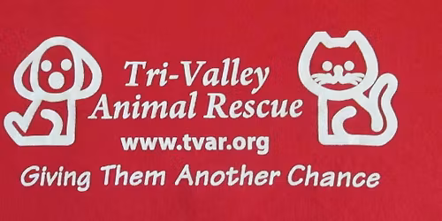 Adopt Adorable Dogs Saturday at Dublin Petsmart!