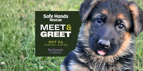 Safe Hands Rescue Meet and Greet