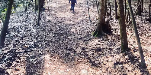 The Ron and Joan Jones Memorial Hikes: Loving Haight and The White Oak Trail