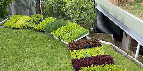 December Seedling Sale