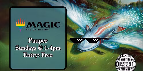 Magic the Gathering - Pauper