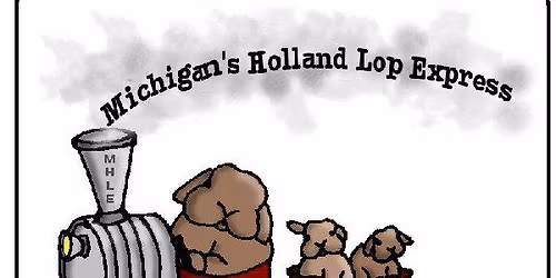 Triple Holland Lop Specialty Show