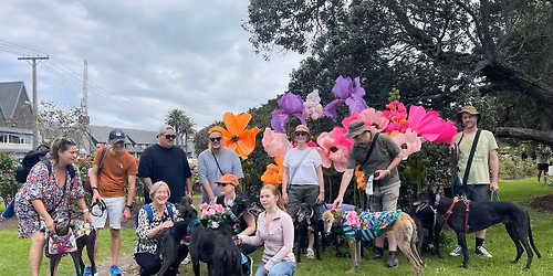 Valentines Evening rose garden walk