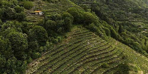 A Grape Odyssey: Greece's Lesser Known Wines