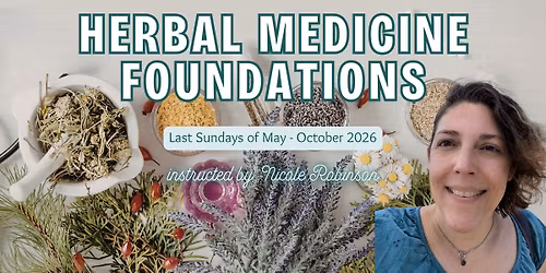 Herbal Medicine Foundations