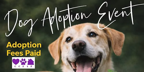 Adoption Event at RURAL KING, Crystal River 6\/13\/26
