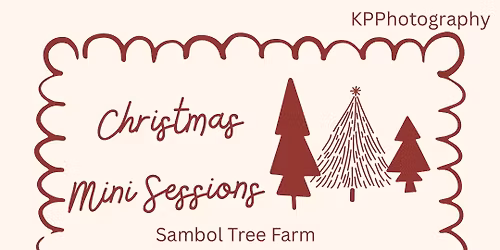 Christmas mini session