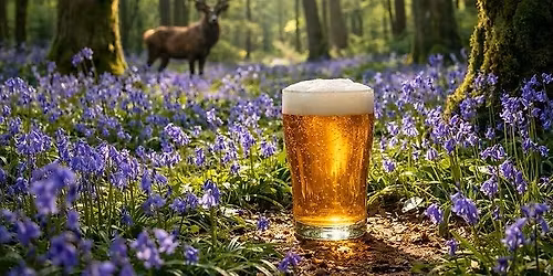 Bluebell Tap