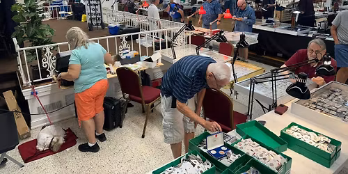 Tampa Bay Coin Club Coin Show