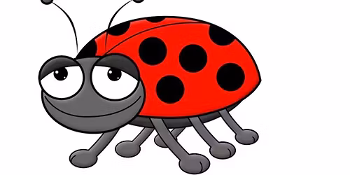 Beetle Drive
