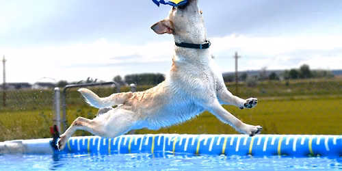 Rock & Roll Splash