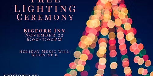 Annual Tree Lighting Ceremony