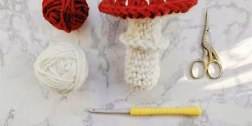 Crochet Next Steps workshop