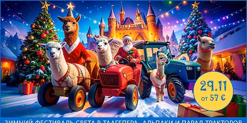 \u0417\u0438\u043c\u043d\u0438\u0439 \u0444\u0435\u0441\u0442\u0438\u0432\u0430\u043b\u044c \u0441\u0432\u0435\u0442\u0430 \u0432 \u0422\u0430\u0430\u0433\u0435\u043f\u0435\u0440\u0430, \u0430\u043b\u044c\u043f\u0430\u043a\u0438 \u0438 \u043f\u0430\u0440\u0430\u0434 \u0442\u0440\u0430\u043a\u0442\u043e\u0440\u043e\u0432