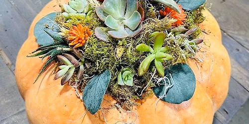 Heirloom Succulent Planter