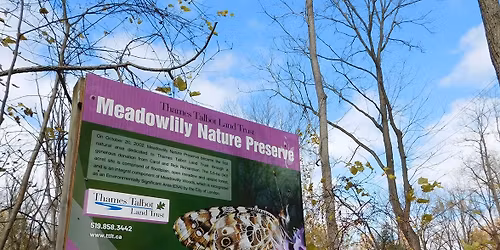 Thames River Clean Up