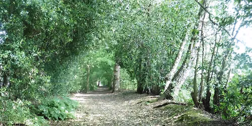 The Admiral McHilly  (16 miles) and Chelmer (6 miles) Trails