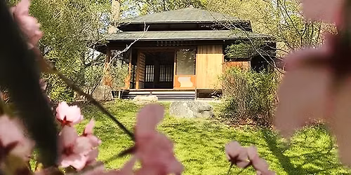 \u00d6ppning av tehuset