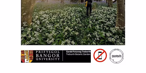 Shinrin-Yoku Forestbathing