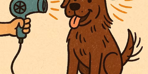 Lab Appreciation Party