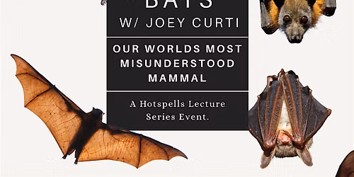 Our World\u2019s Most Misunderstood Mammal \u2013 The Bat!