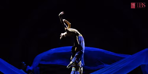 Sp\u0103rg\u0103torul de nuci - spectacol de balet clasic 