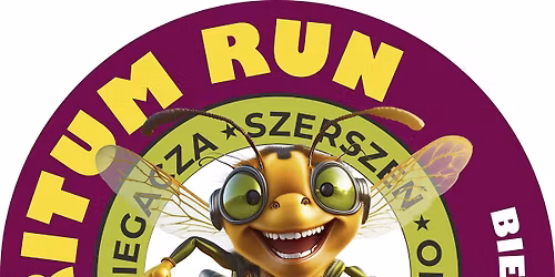 Meritum Run. Bieg Ma\u0142ego Szerszenia 