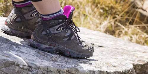 New Year's Day guided walk