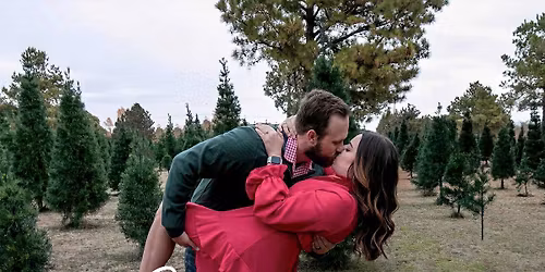 Christmas Tree Farm Mini's