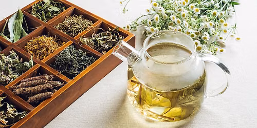 Tea Tasting
