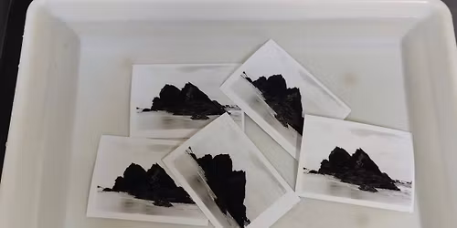 Analog photography workshop series- Develop your B&W photo skills