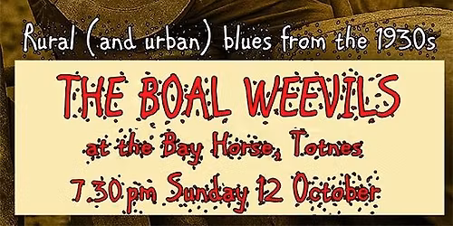 The Boal Weevils host the Bay Horse Inn's Sunday Blues Session