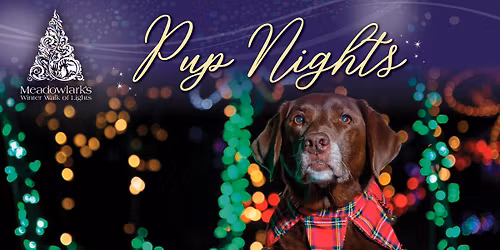 Winter Walk of Lights: Pup Nights